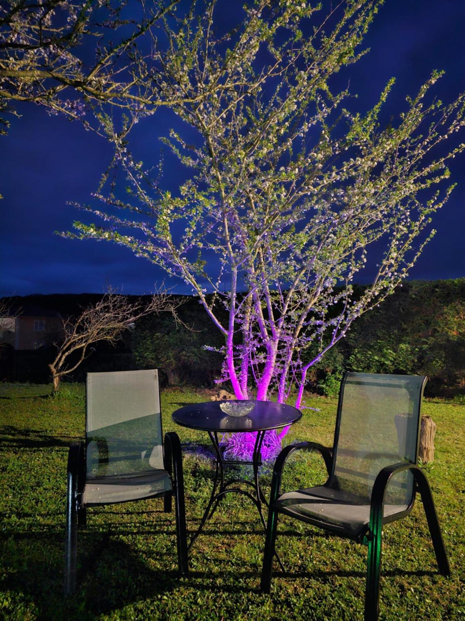 Cartavio Apartamentos Castello מראה חיצוני תמונה