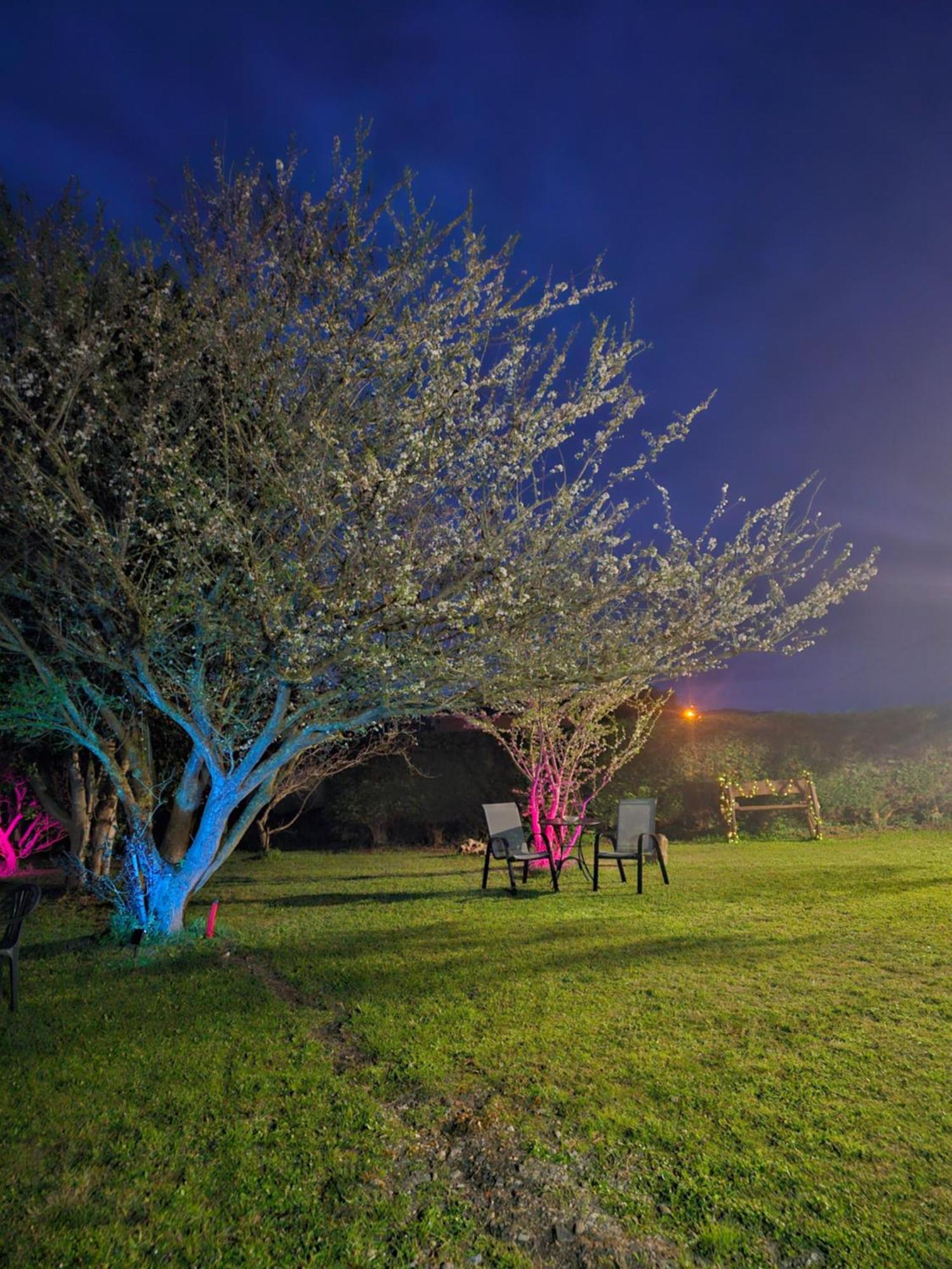 Cartavio Apartamentos Castello מראה חיצוני תמונה