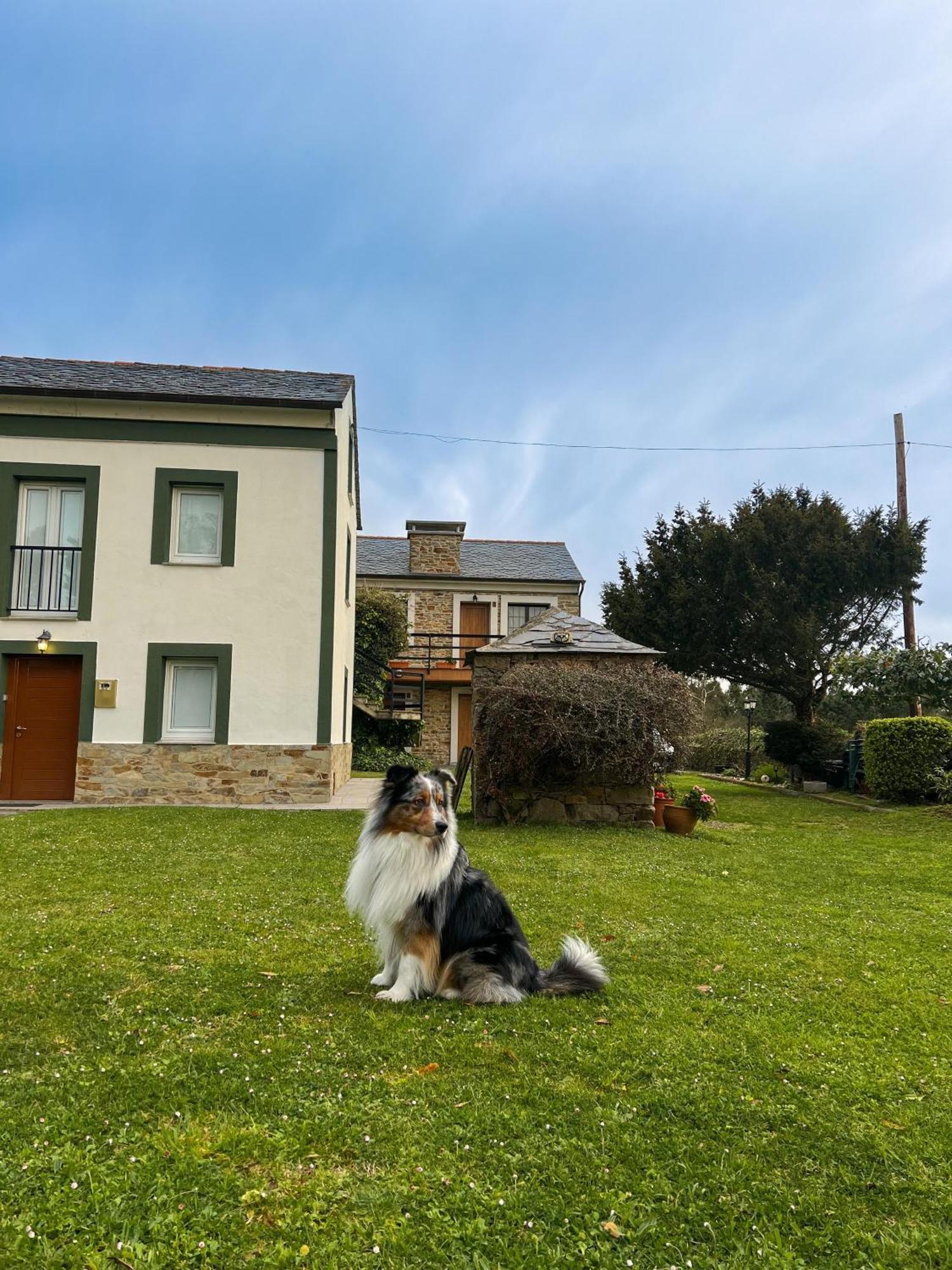 Cartavio Apartamentos Castello מראה חיצוני תמונה